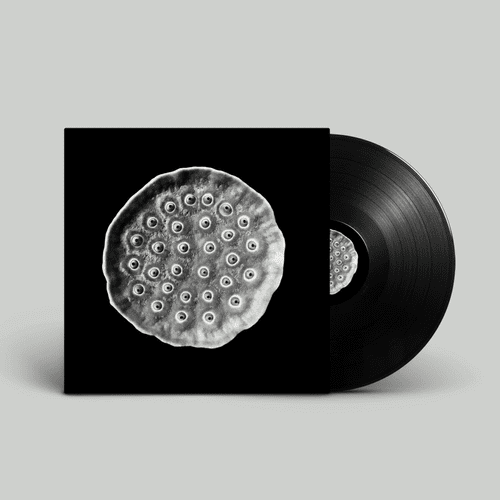 747 - Deep Space Opera Vinyl | Aquaregia